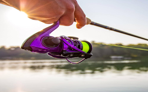 Piscifun Reel Reviews: Is This the Best Budget Fishing Reel?