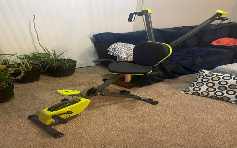 Reclining Bikes Reviews: Top Picks & Honest Buyer Opinions