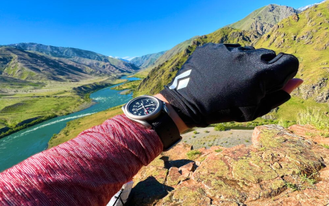 Visible Armband Reviews: Best Picks for Safety & Performance