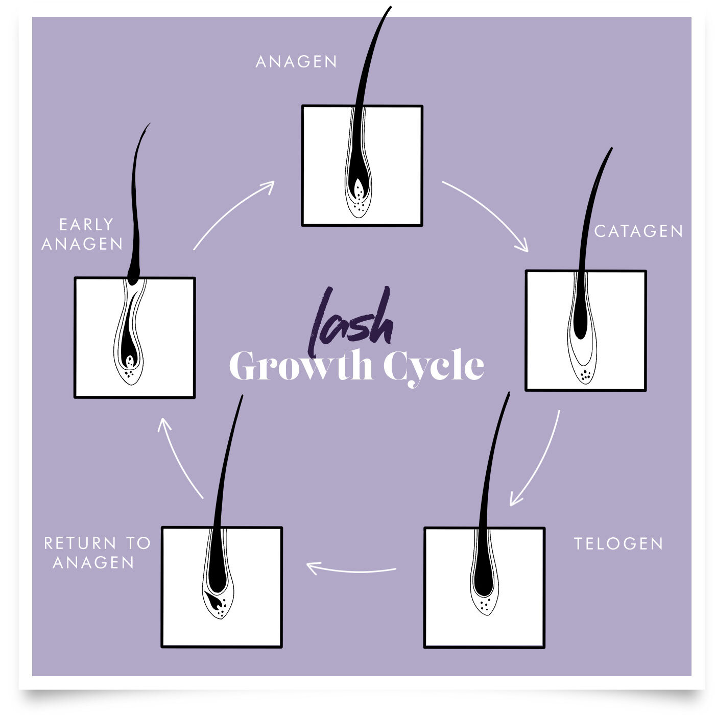 Do Lash Growth Serums Work? Science-Backed Answer