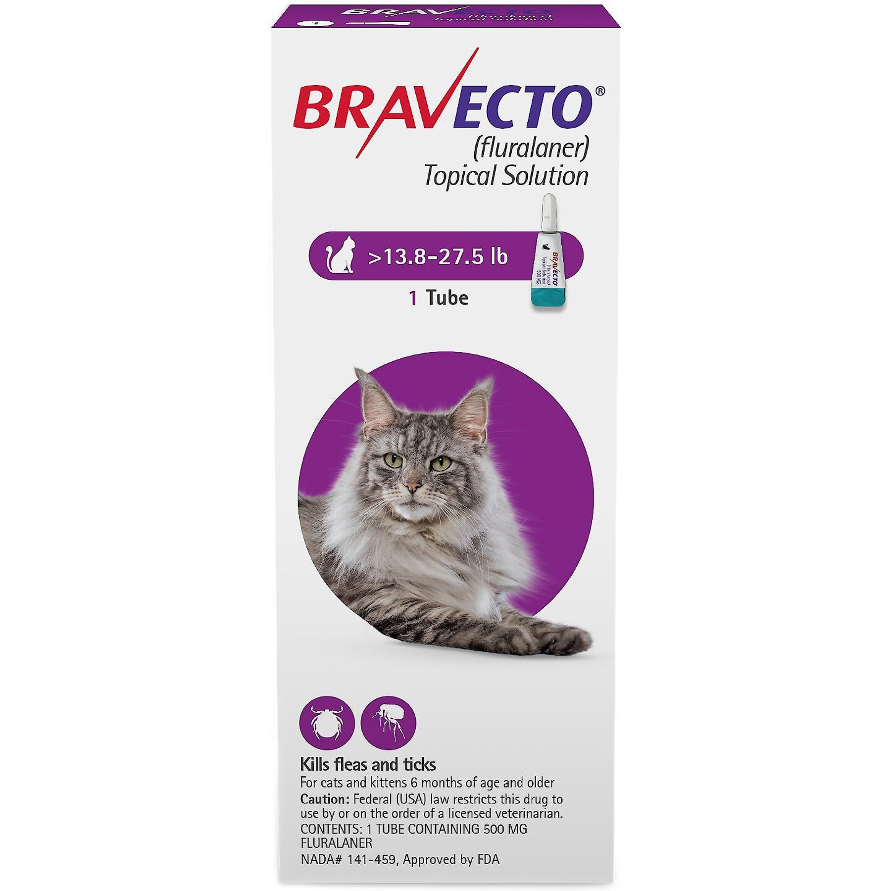 Bravecto Reviews for Cats: Real Owners Share Honest Results