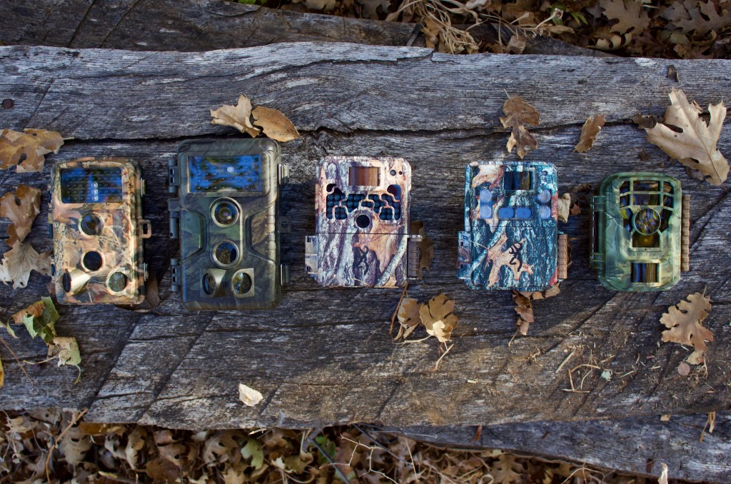 Top 10 Review Game Cameras for 2025: Tested and Rated Best