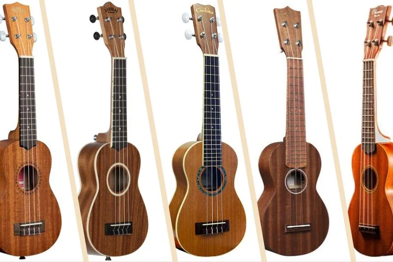 Ukulele Reviews: Top 7 Best Models for Every Budget 2025