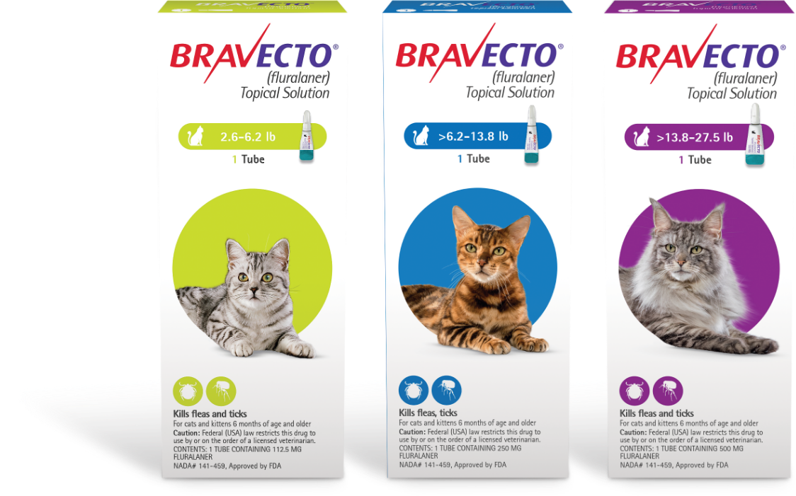 Bravecto Reviews for Cats: Real Owners Share Honest Results