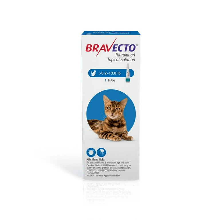 Bravecto Reviews for Cats: Real Owners Share Honest Results