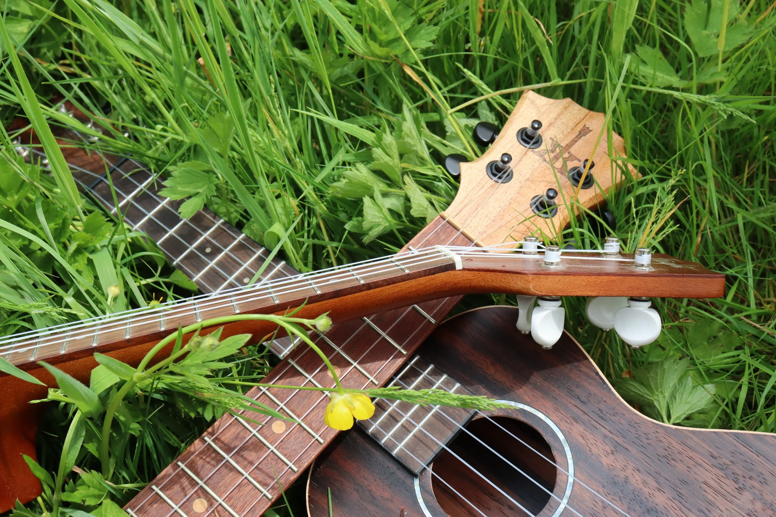 Top 10 Uke Reviews: Find Your Perfect Ukulele Today!