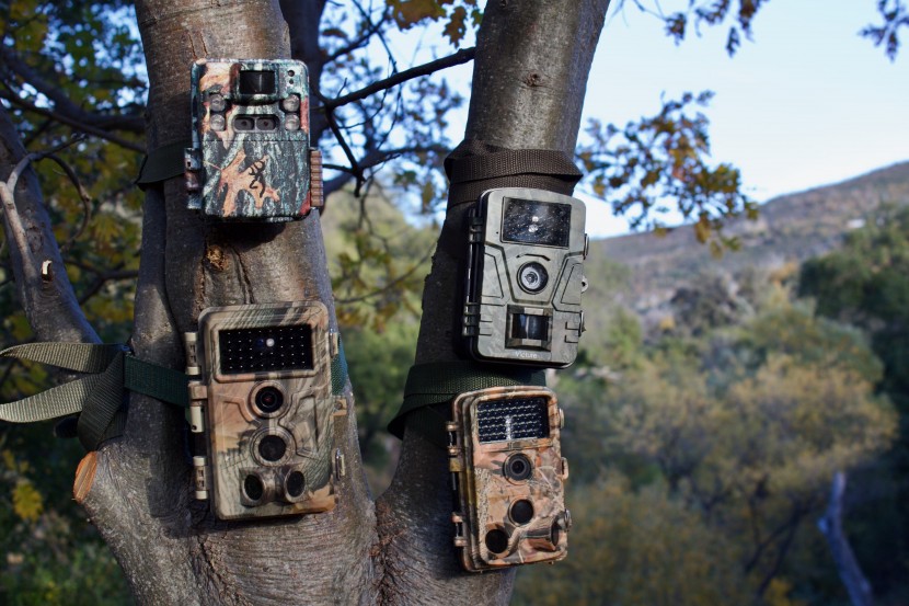 Wildlife Camera Reviews 2025: Top Picks & Honest Tests