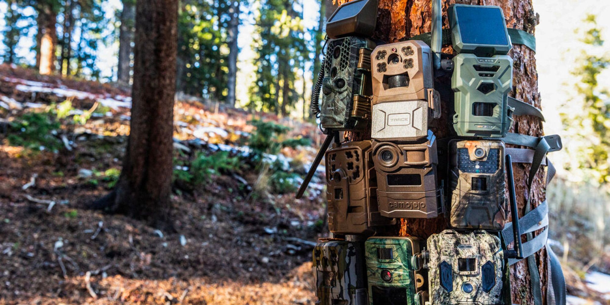 Top 10 Trail Cameras Reviewed: Find Your Perfect Match!