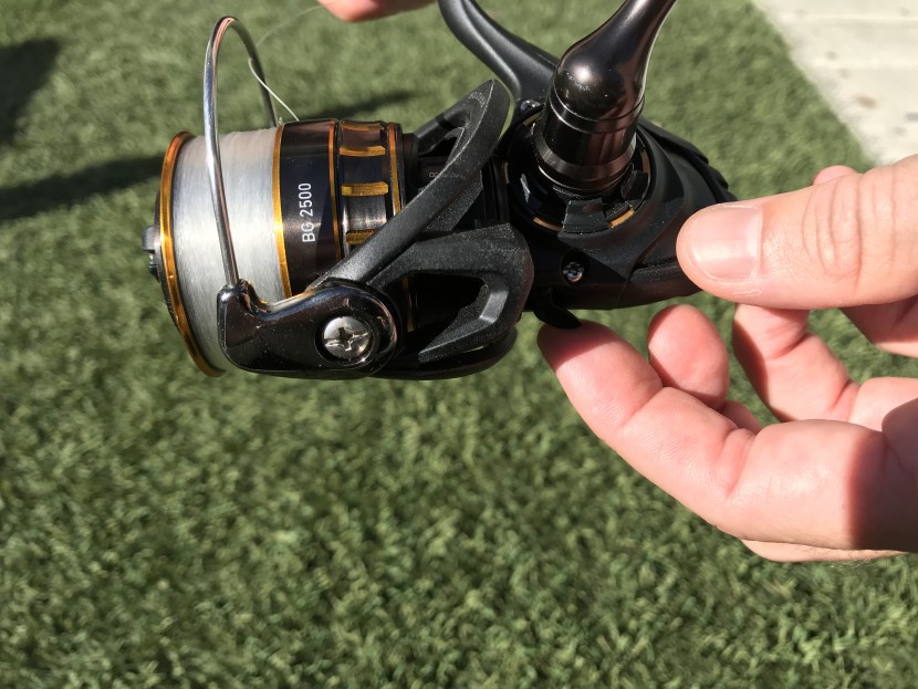 Daiwa Reels Review: Best Models Ranked & Tested for 2025