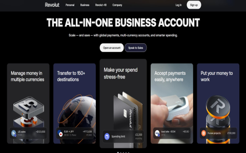 Airwallex vs. Rho： High-Finance Features Compared