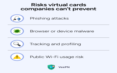 Card Bin Attacks： Protecting Your Virtual Cards