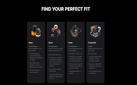 Airwallex vs. Citibank： Global Reach vs. Agility