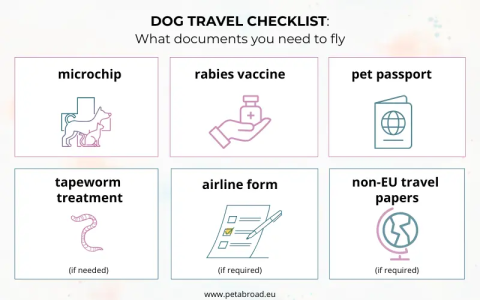 Document Checklist： Exactly What You Need to Get Approved