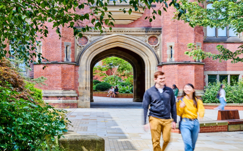 The Guru Scam： Why Buying Pre-Made Accounts is Suicide